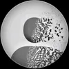 anhkhoa_719