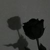 iremm._0011