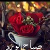 user2102275022777