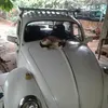 rubensferreira965