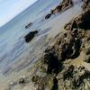 meriem__labdi.07