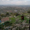 hama.palestine5