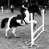 _equi_isabel_