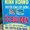 wwwhoang10