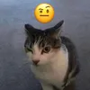 ahtyts