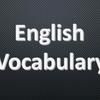 English Vocabulary