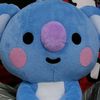 .pin0iiy