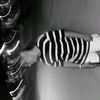 enesm_17