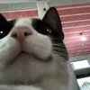 geovana_x0