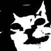 jdkky_z