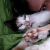 ingrid_18114