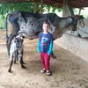 carlavaqueira7