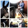 diegodipasquale6