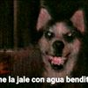 negro_de_por_vidaxd0