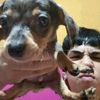 chuchitoo