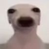 user62827282858