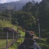 prihatamaa