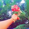 dramaqueennisha1