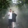 hafnayanti