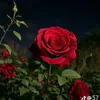 dyyazvlmuba8