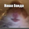 bogdan_selivanov