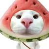 ltngan_2