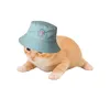your.local_cat.lady