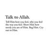 islam_daily_videos