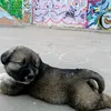 xena02032024