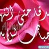 haidermohsentiger