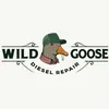 the_fake_wild_goose