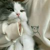 bichou_bisha