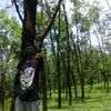 muhammad_nizar26
