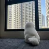 justinwilliamm