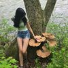 nymphpath
