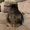 dinkletwitch