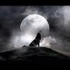 sisterwolf84