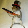 squirrelfunkymonkey