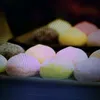 niki_sixz