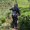 _ambaroktaviasari