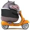 dakpod