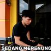 nnd_113