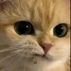 r_r_r_r_r_5_2