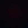 intinyaorg_19
