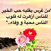 ywsfalysawy401gmail.com0