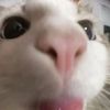 ivanbanan27