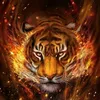 anhhung626