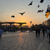 reyns_81