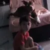 morenogagliardi