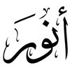 anwarabdulaziz36